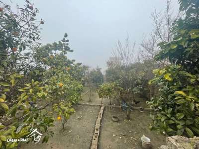 خرید زمین زراعی 280 متری در محمودآباد منطقه کمربندی غربی