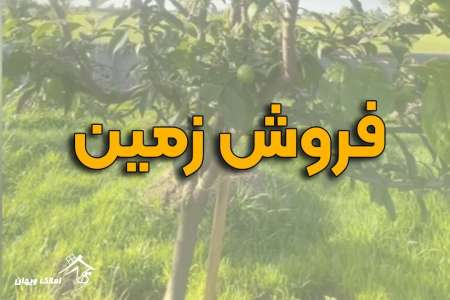 خرید زمین زراعی 300 متری در محمود آباد