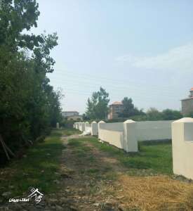 فروش زمین زراعیی 263 متری در محمود آباد