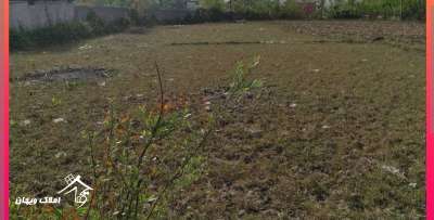 خرید زمین زراعی 290 متری در محمود آباد