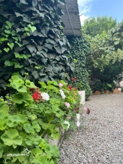 خرید ویلا فلت 90 متری 2 خواب در سرخرود