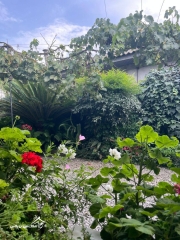 خرید ویلا فلت 90 متری 2 خواب در سرخرود