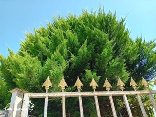 خرید ویلا فلت 60 متری در سرخرود