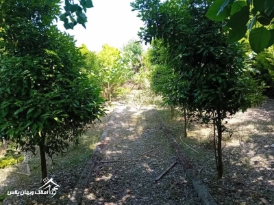 خرید ویلا فلت 60 متری در سرخرود