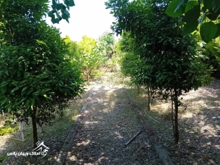 خرید ویلا فلت 60 متری در سرخرود