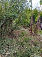 خرید ویلا فلت 60 متری در سرخرود