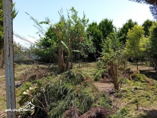 خرید ویلا فلت 60 متری در سرخرود